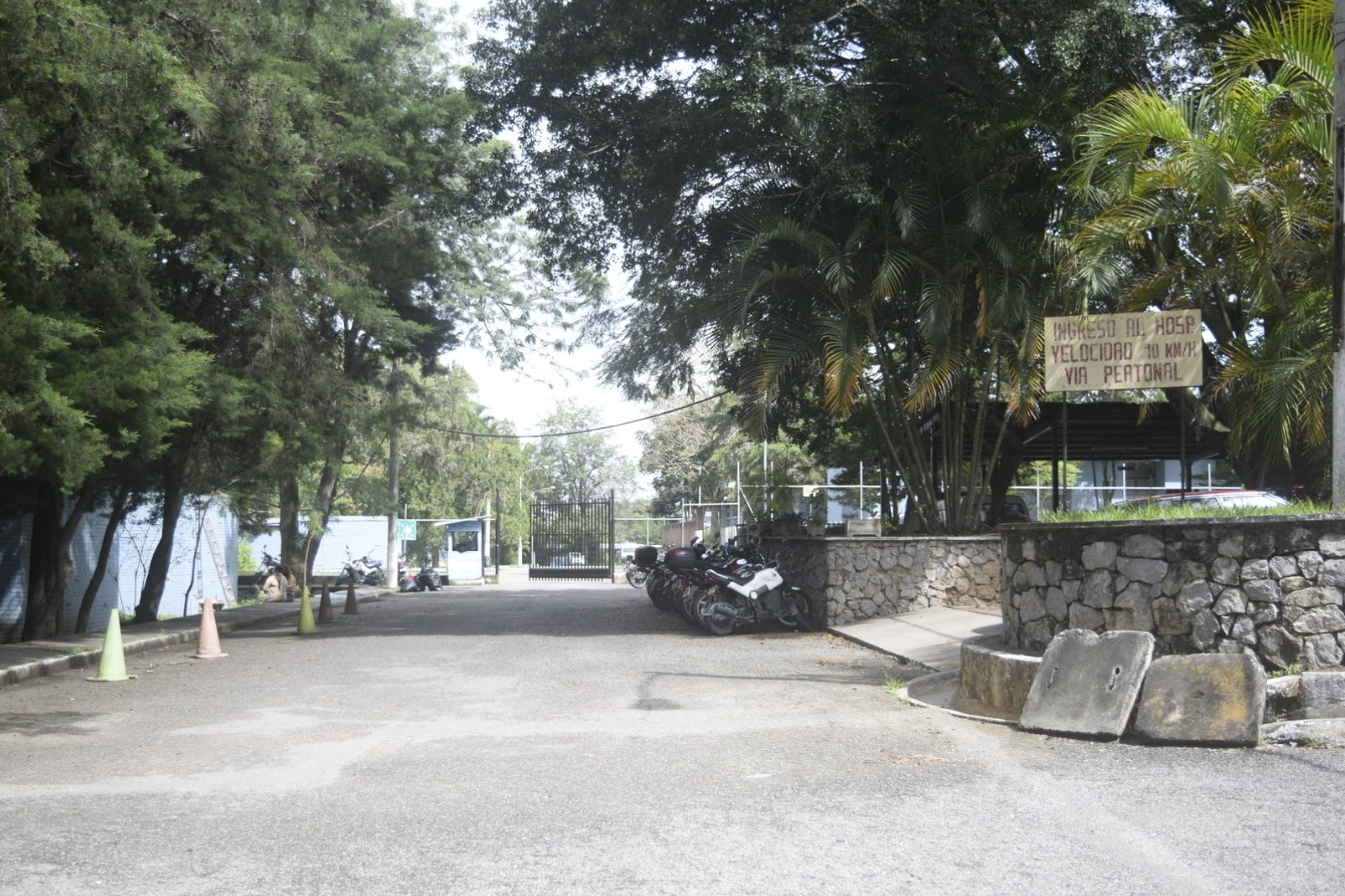 Federico Mora interior 1