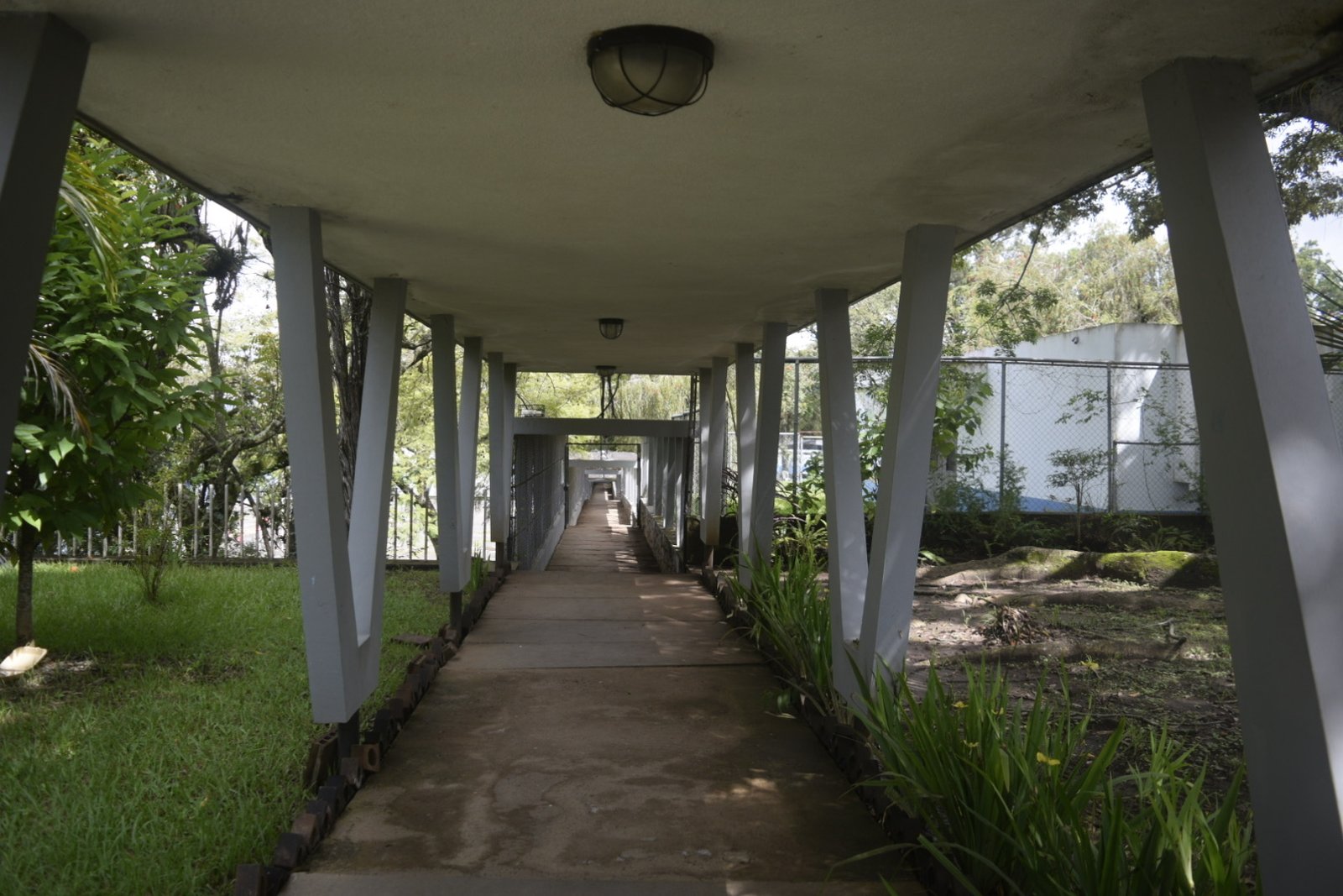 Federico Mora interior 2