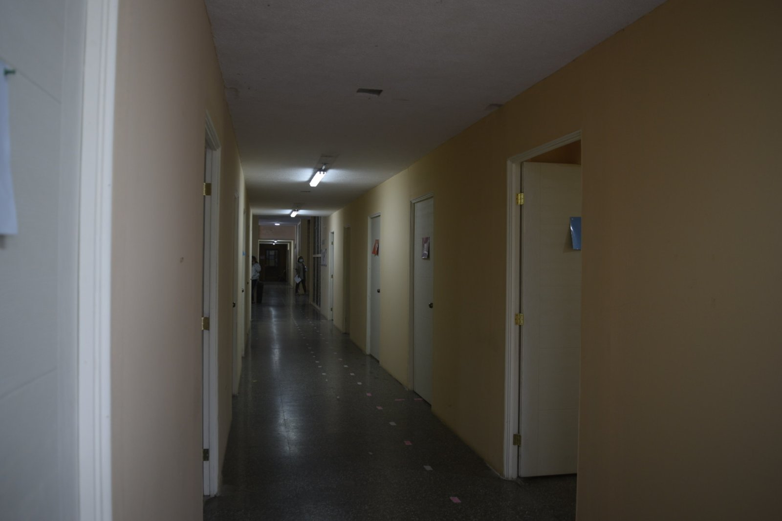 Federico Mora interior 5